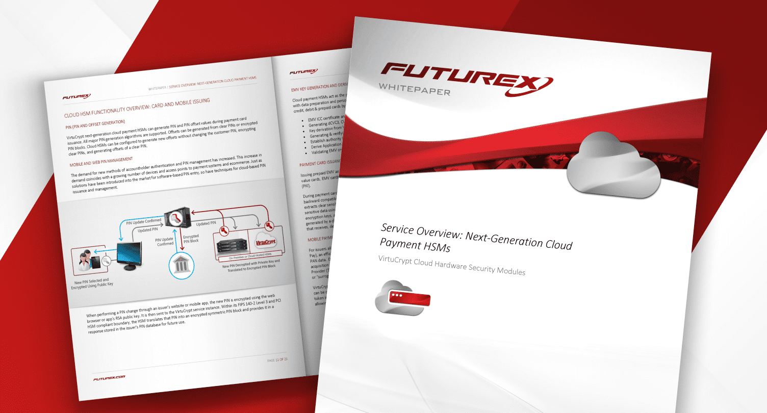 wp_thumbnail_service overview-next generation cloud payment hsms